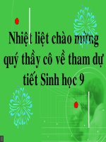 Bài giảng điện tử ADN thao giảng sinh học 9 (50) 