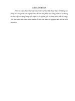 Tiểu luận: công tác tuyển dụng nhân lực tại công ty TNHH dreamtech việt nam