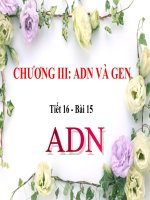 Bài giảng điện tử ADN thao giảng sinh học 9 (47) 