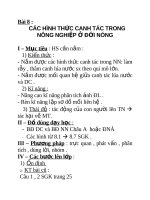 Địa lý lớp 7 bài 8 