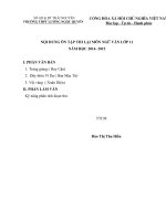 NỘI DUNG ÔN TẬP THI LẠI MÔN VĂN