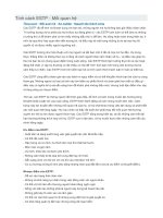 Một số đặc điểm tiêu biểu của Tính cách ESTP