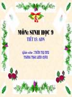 Bài giảng điện tử ADN thao giảng sinh học 9 (42) 