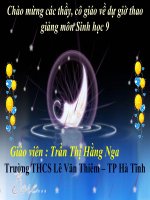 Bài giảng điện tử ADN thao giảng sinh học 9 (16) 