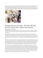 Thuyết minh về con mèo 