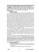 Sáng kiến kinh nghiệm phương pháp sử dụng công nghệ thông tin để hướng dẫn học sinh học tốt môn địa lí 10 