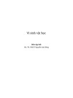 Giáo trình: Vi sinh vật học (GS. Nguyễn Lân Dũng)