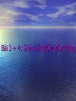 Bai 3  4 san xuat giong cay trong