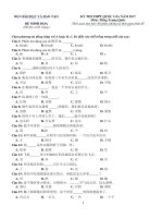 đề minh họa thi THPT QG môn tiếng trung  2017