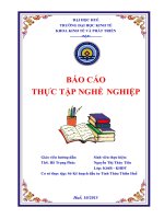 Báo cáo thực tế nghề nghiệp phòng xây dựng cơ bản sở kế hoạch đầu tư tình thừa thiên huế