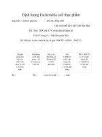 Định lượng escherichia coli 