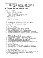Đề cương ôn tập mon toán lớp 12  (49) 