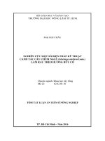 Nghiên cứu một số biện pháp kỹ thuật canh tác cây Chùm ngây (Moringa Oleifera) làm rau theo hướng hữu cơ