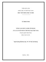 Nâng cao chất lượng tín dụng của các ngân hàng thương mại việt nam 