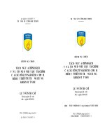 chính sách vốn lưu động chính sách vốn lưu động vốn lưu động đến hiệu quả tài chính của các công ty ngành thực phẩm niên yết trên thị trường chứng khoán Việt Nam