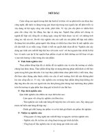 Nghiên cứu quy trình sản xuất đồ hộp thịt heo xốt nước cam 