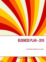 Mẫu slide business plan   2016
