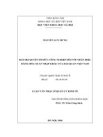 Bảo hộ quyền sở hữu công nghiệp đối với nhãn hiệu hàng hóa xuất nhập khẩu của hải quan việt nam 