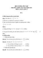 Đề cương ôn tập mon toán lớp 12  (21) 