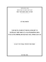 Tập quán, nghi lễ trong sinh đẻ và nuôi dạy trẻ nhỏ của người Hmông Hoa xã Lùng Phình, huyện Bắc Hà, tỉnh Lào Cai