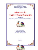 Báo cáo thực tế nghề nghiệp phòng đăng ký kinh doanh sở kế hoạch đầu tư tỉnh thừa thiên huế (2)