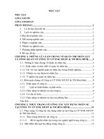 Tiểu luận: Thực trạng và giải pháp phát triển nguồn nhân lực tại công ty CP XNK XD DV TM hòa bình