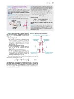 Paul a  tipler, gene mosca physics for scientists and engineers  a strategic approach 08 