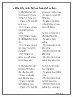 Tài liệu ôn tập môn toán lớp 12 ôn thi THQG (11) 