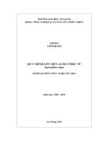 Đề tài quy trình lên men acid citric từ aspergillus niger