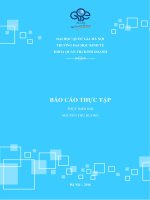 Báo cáo thực tập: Phân tích thực trạng hoạt động kinh doanh tại Công ty TNHH Tâm Việt
