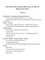 Đề cương ôn tập môn toán lớp 11 (12) 