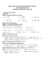 Đề cương ôn tập môn toán lớp 11 (25) 