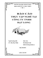 Báo cáo thực tập nghề nghiệp tại công ty TNHH đạt long