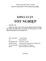 Nghiên cứu thực trạng và đề xuất giải pháp sử dụng đất trồng lúa không chủ động nước trên địa bàn xã đại quang và xã đại đồng, huyện đại lộc, tỉnh quảng nam 