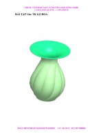 BÀI TẬP 14TK lo hoa