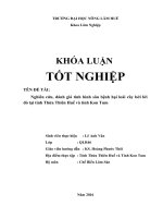 Nghiên cứu, đánh giá tình hình sâu bệnh hại loài cây bời lời đỏ tại tỉnh thừa thiên huế và tỉnh kon tum 