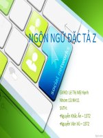 Báo cáo CNPM   ngôn ngữ z