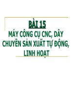 Máy Công Cụ CNC, Dây Chuyền Sản Xuất Tự Động, Linh Hoạt