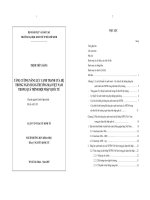 Tăng cường năng lực cạnh tranh của hệ thống Ngân hàng Thương mại Việt Nam trong quá trình hội nhập Quốc tế