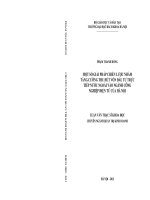 MỘT SỐ GIẢI PHÁP CHIẾN LƯỢC NHẰM TĂNG CƯỜNG THU HÚT VỐN ĐẦU TƯ TRỰC TIẾP NƯỚC NGOÀI VÀO NGÀNH CÔNG NGHIỆP ĐIỆN TỬ CỦA HÀ NỘI