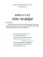 Ảnh hưởng của các loại thức ăn khác nhau đến tăng trưởng, thời gian  biến thái và tỷ lệ sống của ếch thái lan (rana rugulosa) giai đoạn ấu trùng đến 30 ngày tuổi  