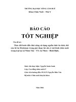 Theo dõi bước đầu khả năng sử dụng nguồn thức ăn tinh, thô của bê lai brahman trong giai đoạn bú sữa ở mô hình chăn nuôi trang trại tại xã nhơn tân – TX an nhơn – bình định  