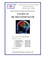 VÀI NÉT VỀ HỆ THẦN KINH NGƯỜI (Môn Sinh lý hoạt động thần kinh)