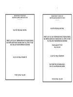 Thiết lập các quy trình KSNB trong hệ thống KSNB cho các công ty dệt may ở TpHCM