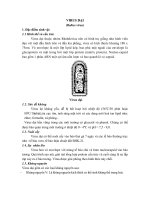 VIRUS DẠI(Rabies virus)