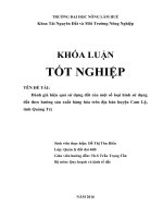 Đánh giá hiệu quả sử dụng đất của một số loại hình sử dụng đất theo hướng sản xuất hàng hóa trên địa bàn huyện cam lộ, tỉnh quảng trị