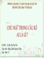 CHỦ NGỮ TRONG câu kể AI là gì