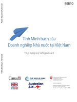 Tính Minh bạch của Doanh nghiệp Nhà nước tại Việt Nam