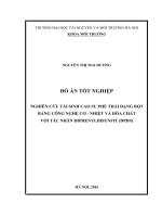 NGHIÊN CỨU TÁI SINH CAO SU PHẾ THẢI DẠNG BỘT BẰNG CÔNG NGHỆ CƠ  NHIỆT VÀ HÓA CHẤT  VỚI TÁC NHÂN DIPHENYLDISUNFIT (DPDS