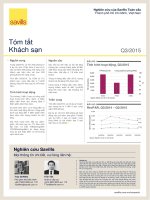 hcmc hotel q3 2015 brief vn 